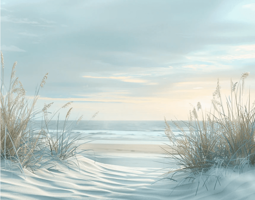 Nature cotière - Dunes en bord de mer - Illulart: Papier peint panoramique