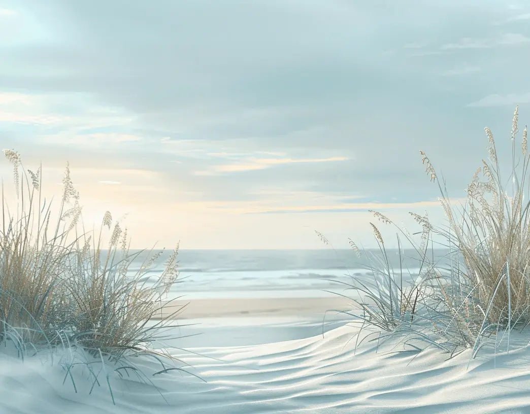 Nature cotière - Dunes en bord de mer