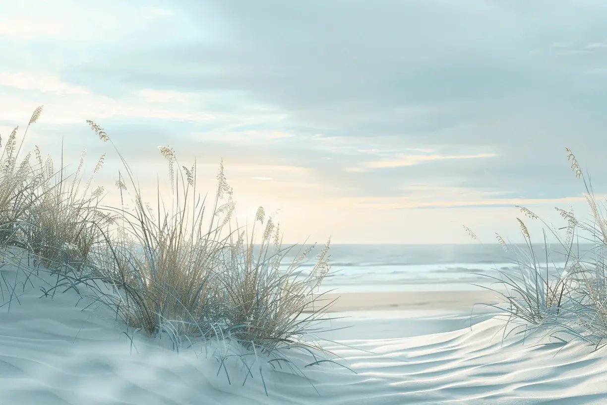Nature cotière - Dunes en bord de mer - Illulart: Papier peint panoramique