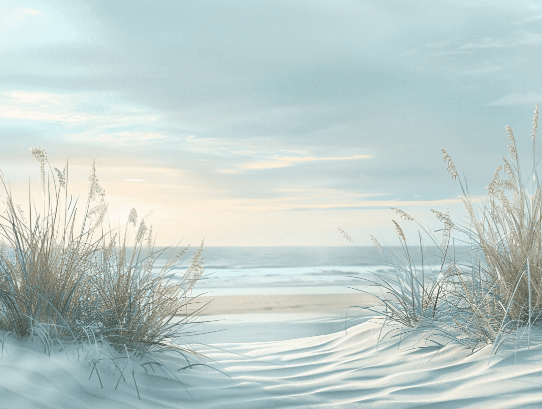 Nature cotière - Dunes en bord de mer