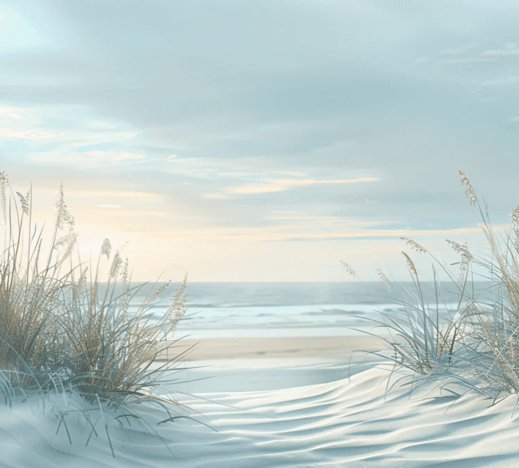 Nature cotière - Dunes en bord de mer - Illulart: Papier peint panoramique