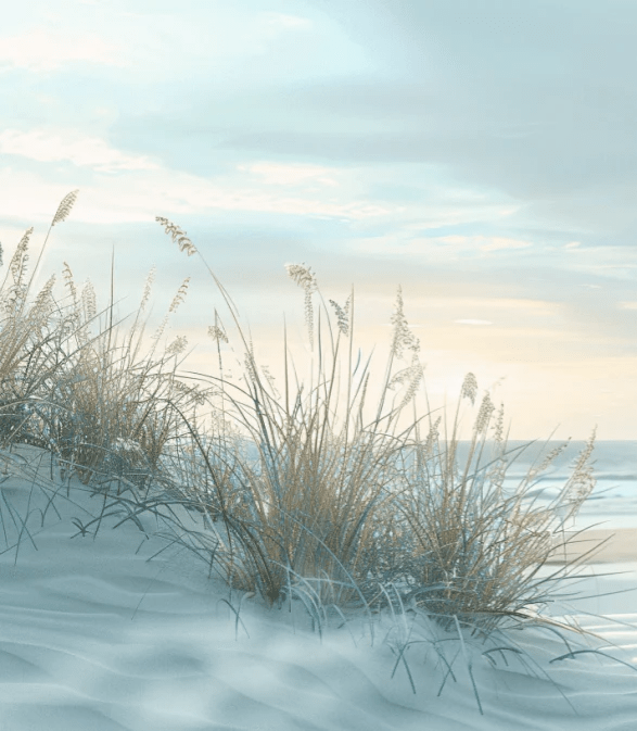 Nature cotière - Dunes en bord de mer - Illulart: Papier peint panoramique