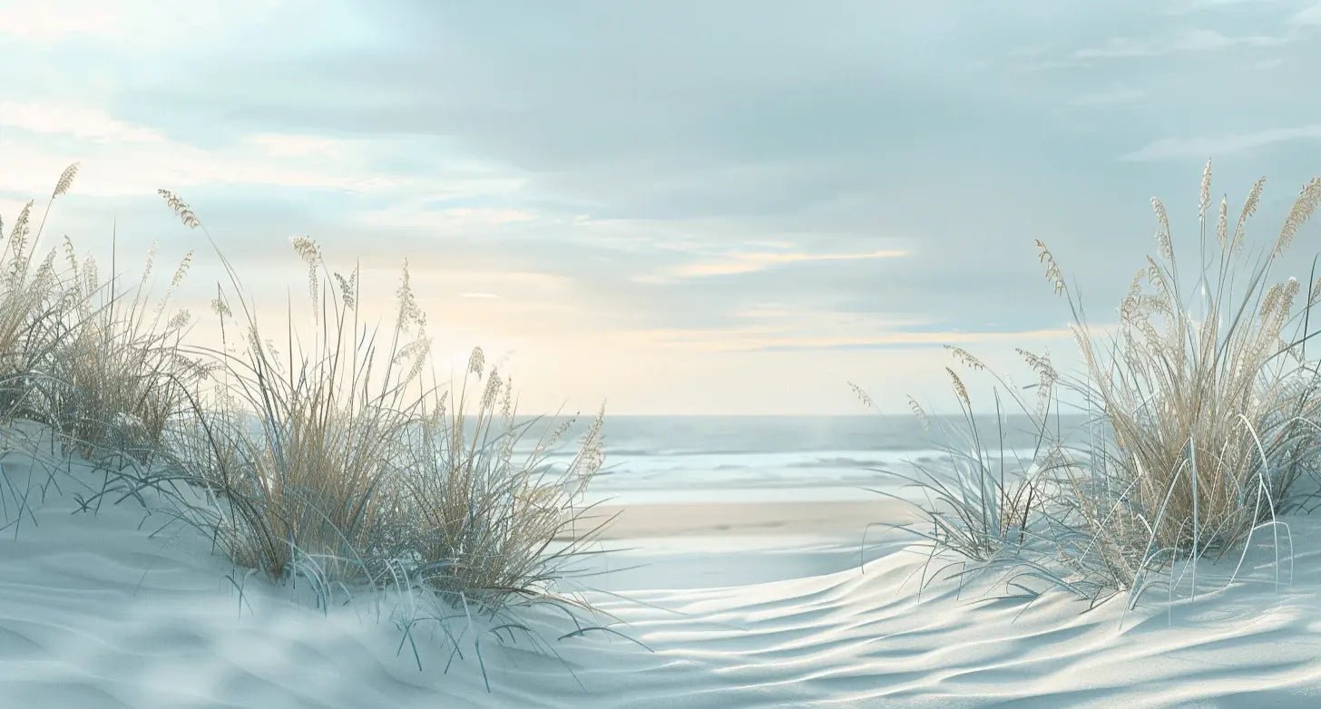Nature cotière - Dunes en bord de mer