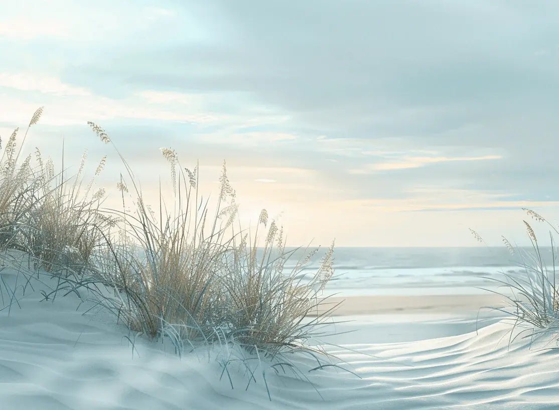 Nature cotière - Dunes en bord de mer - Illulart: Papier peint panoramique