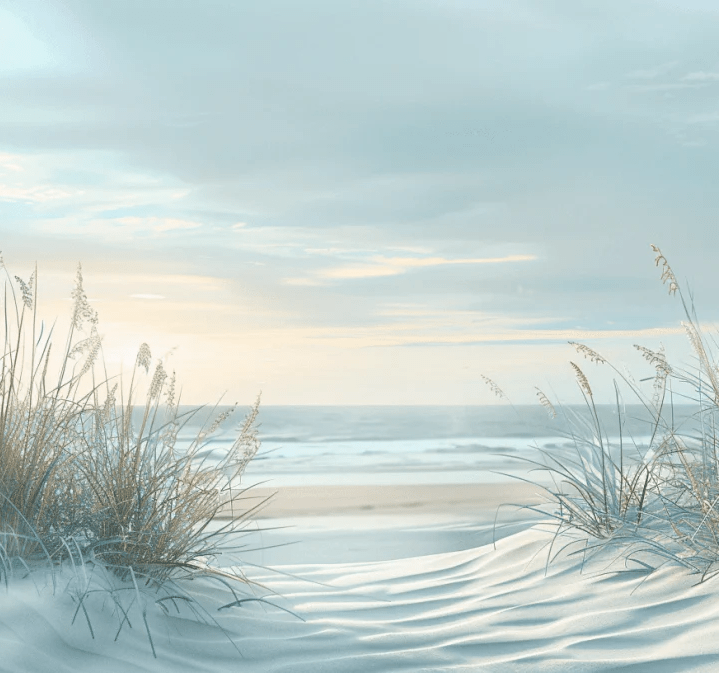 Nature cotière - Dunes en bord de mer - Illulart: Papier peint panoramique