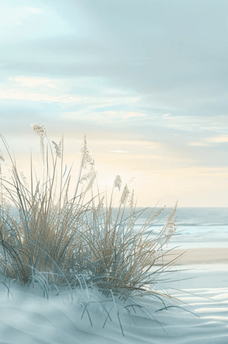 Nature cotière - Dunes en bord de mer - Illulart: Papier peint panoramique