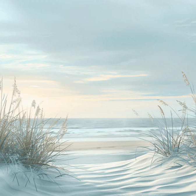 Nature cotière - Dunes en bord de mer - Illulart: Papier peint panoramique