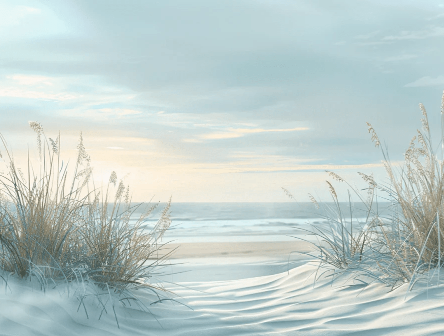 Nature cotière - Dunes en bord de mer - Illulart: Papier peint panoramique