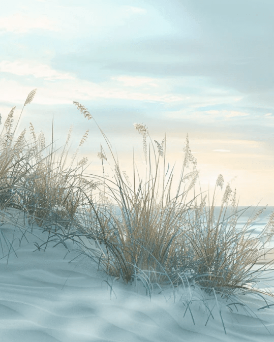 Nature cotière - Dunes en bord de mer - Illulart: Papier peint panoramique