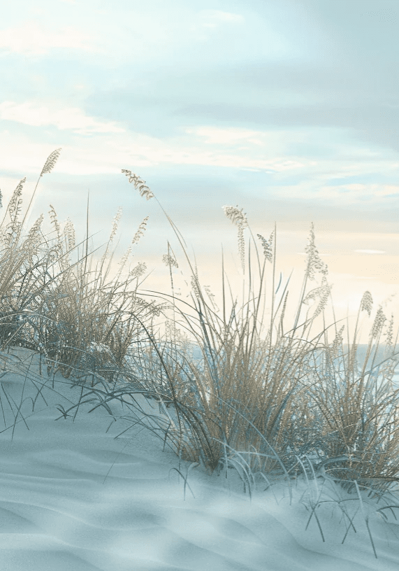 Nature cotière - Dunes en bord de mer - Illulart: Papier peint panoramique
