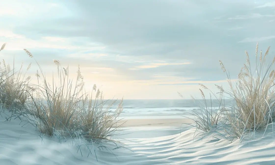 Nature cotière - Dunes en bord de mer - Illulart: Papier peint panoramique