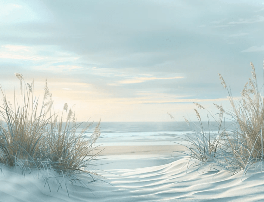 Nature cotière - Dunes en bord de mer - Illulart: Papier peint panoramique