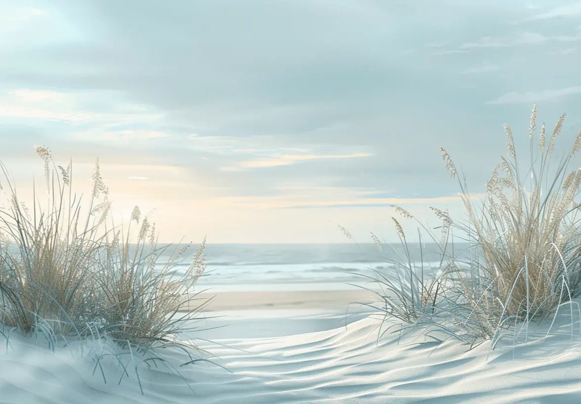 Nature cotière - Dunes en bord de mer