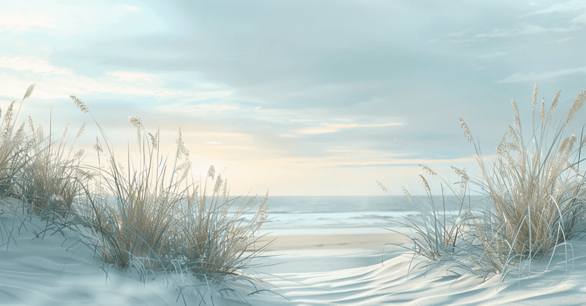 Nature cotière - Dunes en bord de mer - Illulart: Papier peint panoramique
