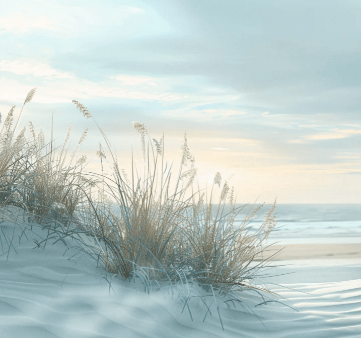 Nature cotière - Dunes en bord de mer - Illulart: Papier peint panoramique