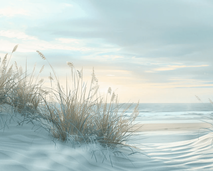 Nature cotière - Dunes en bord de mer - Illulart: Papier peint panoramique