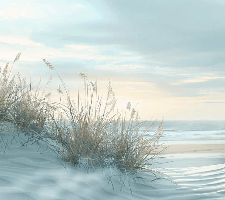 Nature cotière - Dunes en bord de mer - Illulart: Papier peint panoramique