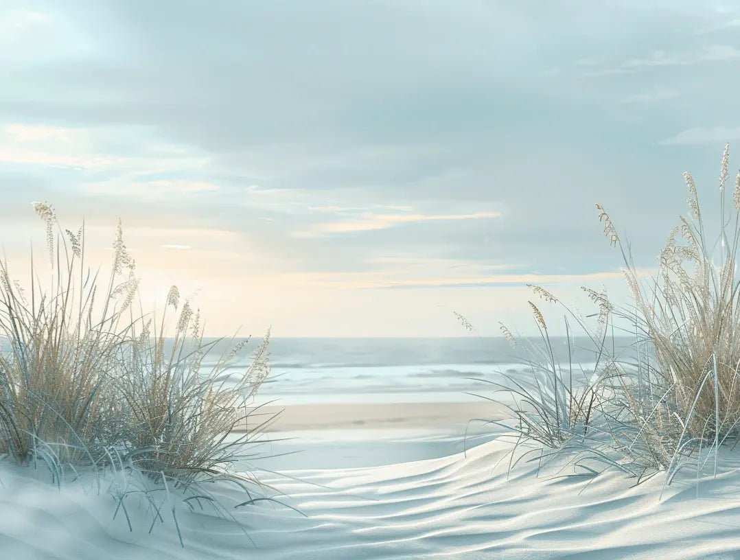 Nature cotière - Dunes en bord de mer - Illulart: Papier peint panoramique