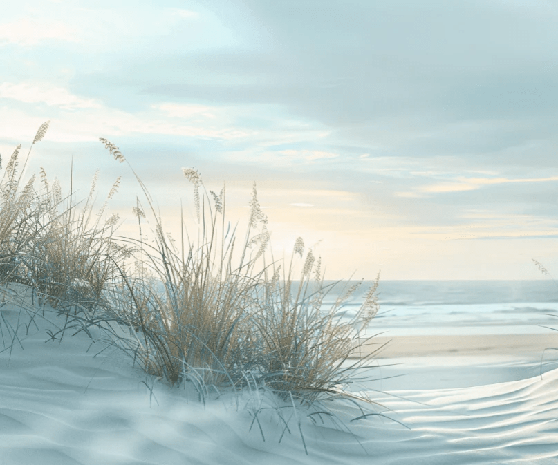 Nature cotière - Dunes en bord de mer - Illulart: Papier peint panoramique