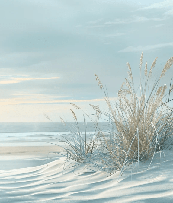 Nature cotière - Dunes en bord de mer - Illulart: Papier peint panoramique