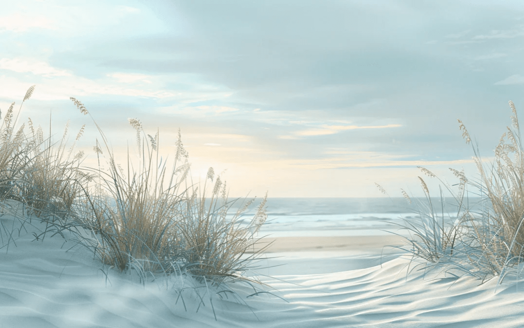 Nature cotière - Dunes en bord de mer - Illulart: Papier peint panoramique