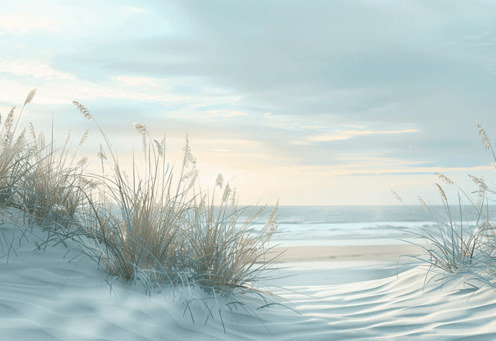 Nature cotière - Dunes en bord de mer - Illulart: Papier peint panoramique