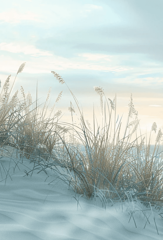 Nature cotière - Dunes en bord de mer - Illulart: Papier peint panoramique