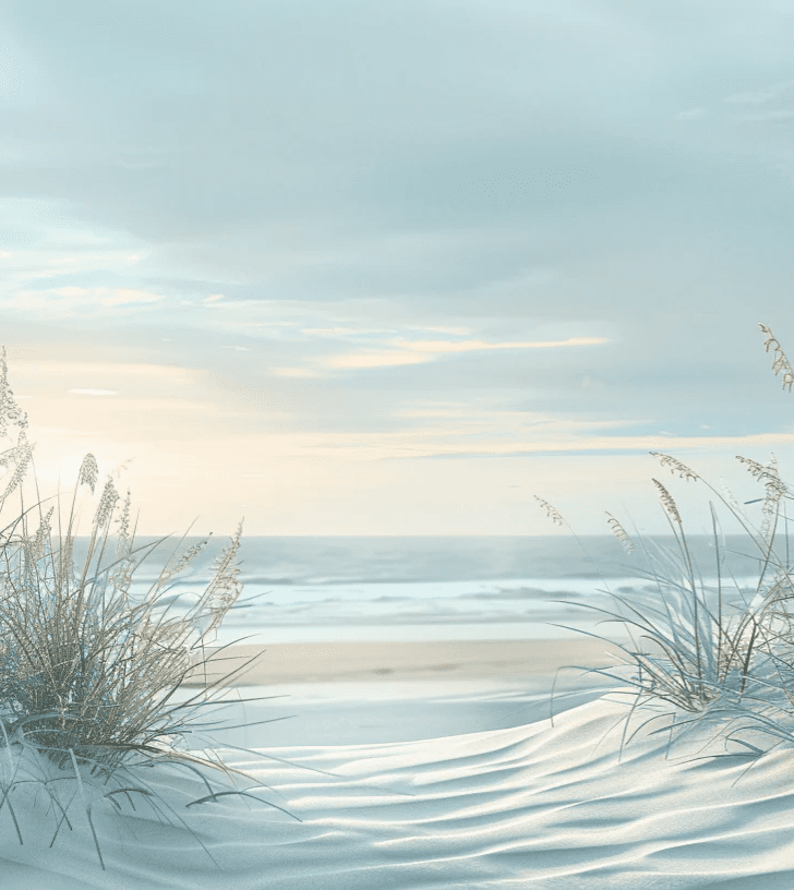 Nature cotière - Dunes en bord de mer - Illulart: Papier peint panoramique
