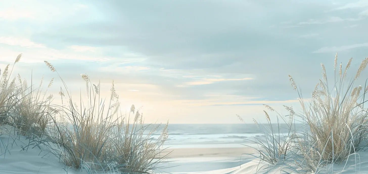 Nature cotière - Dunes en bord de mer - Illulart: Papier peint panoramique