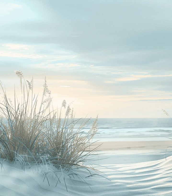 Nature cotière - Dunes en bord de mer