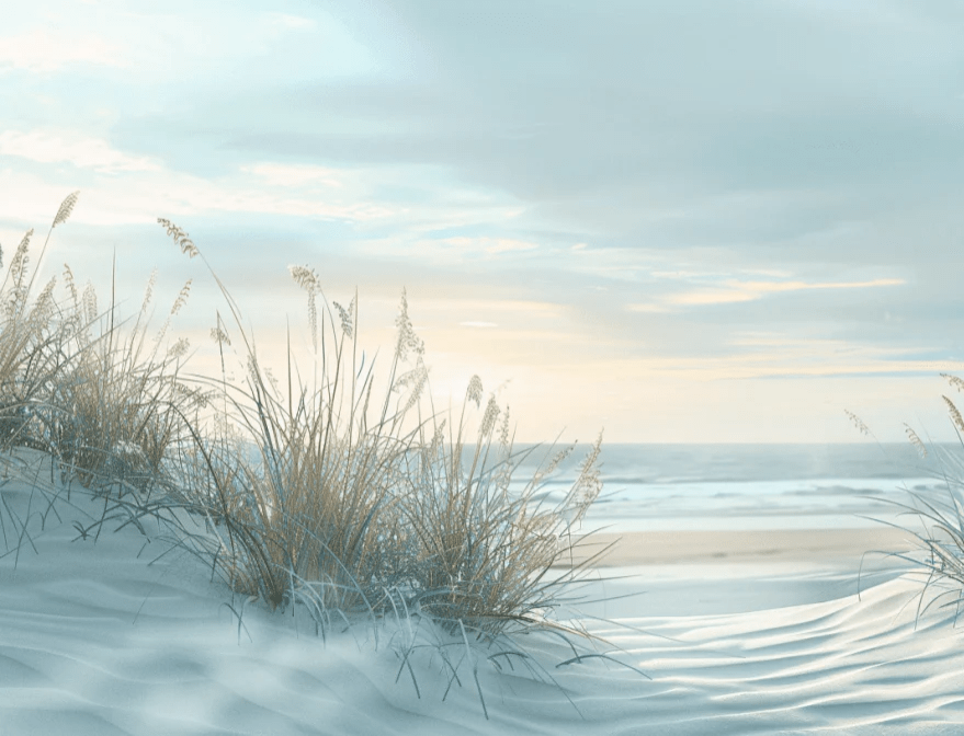 Nature cotière - Dunes en bord de mer - Illulart: Papier peint panoramique