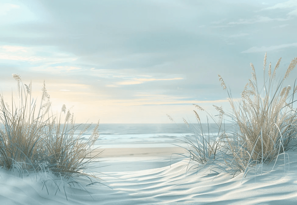 Nature cotière - Dunes en bord de mer - Illulart: Papier peint panoramique