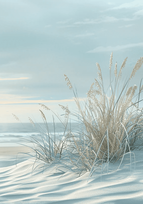 Nature cotière - Dunes en bord de mer