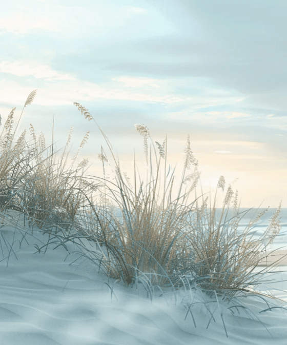 Nature cotière - Dunes en bord de mer - Illulart: Papier peint panoramique