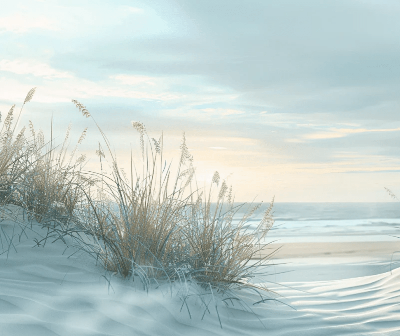 Nature cotière - Dunes en bord de mer - Illulart: Papier peint panoramique