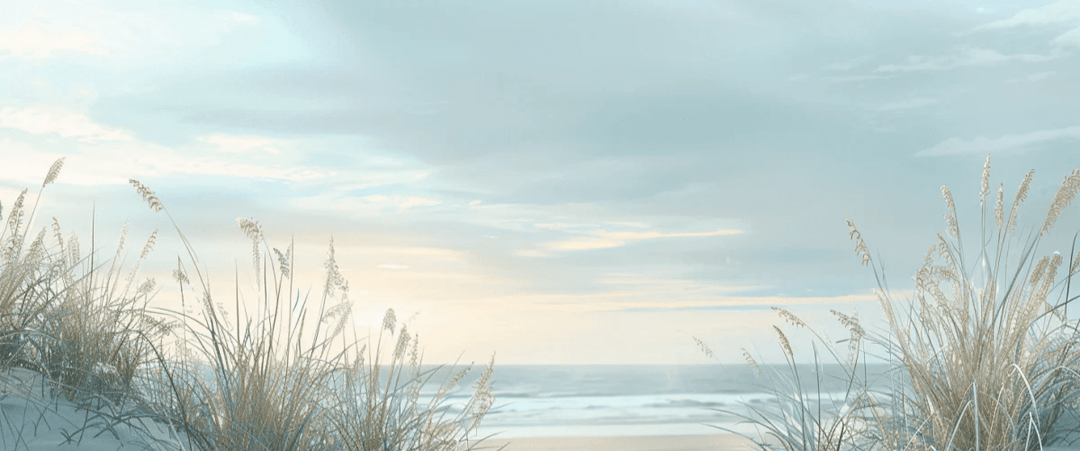 Nature cotière - Dunes en bord de mer - Illulart: Papier peint panoramique