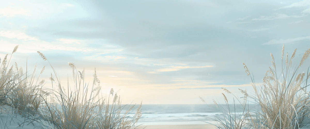 Nature cotière - Dunes en bord de mer - Illulart: Papier peint panoramique