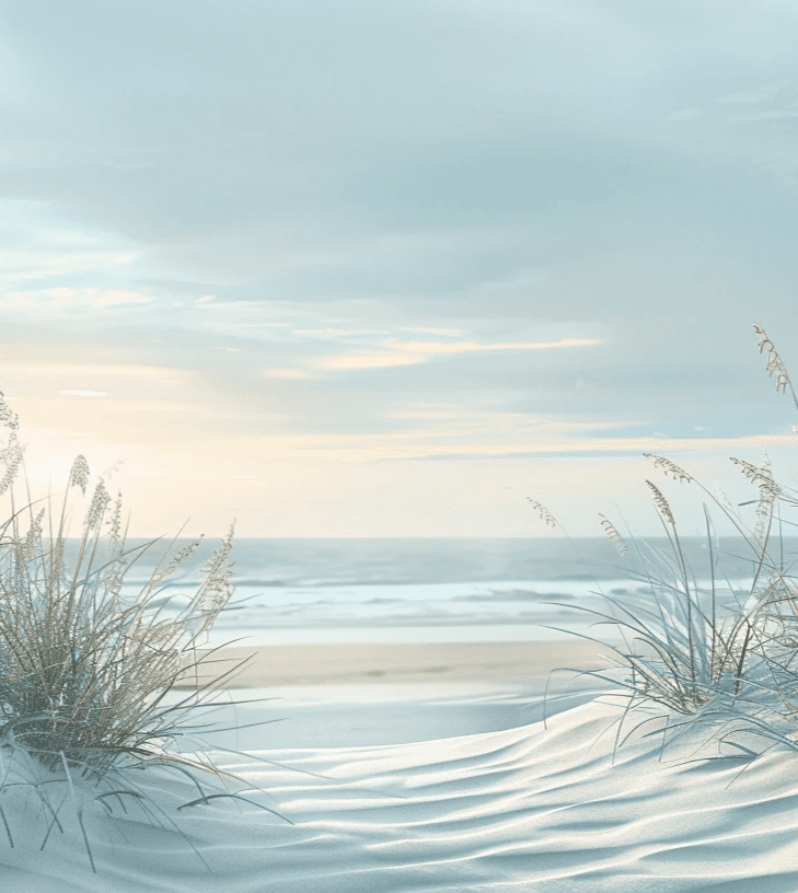 Nature cotière - Dunes en bord de mer