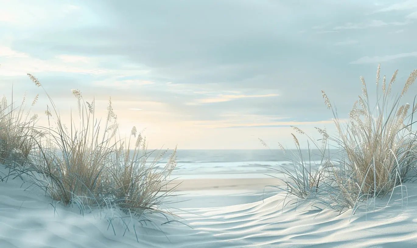 Nature cotière - Dunes en bord de mer