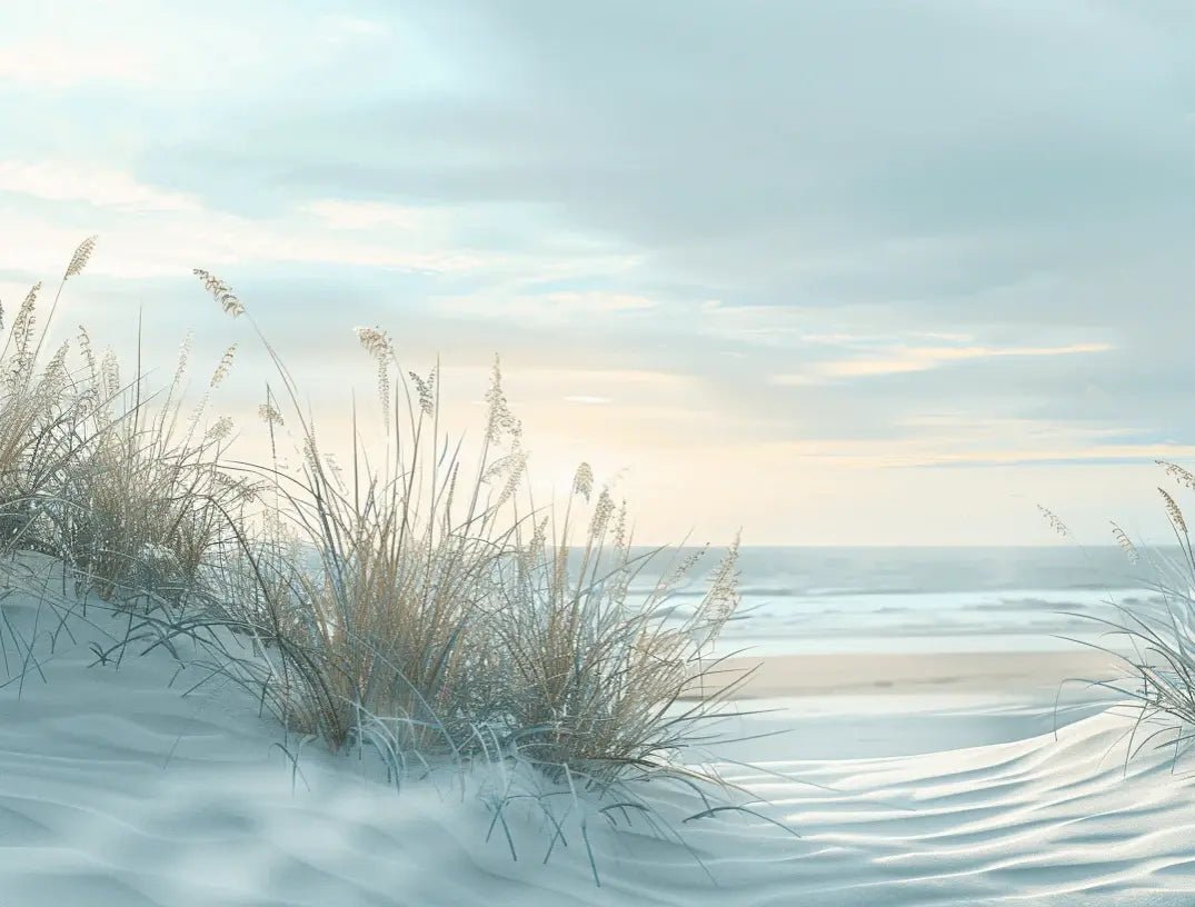 Nature cotière - Dunes en bord de mer - Illulart: Papier peint panoramique