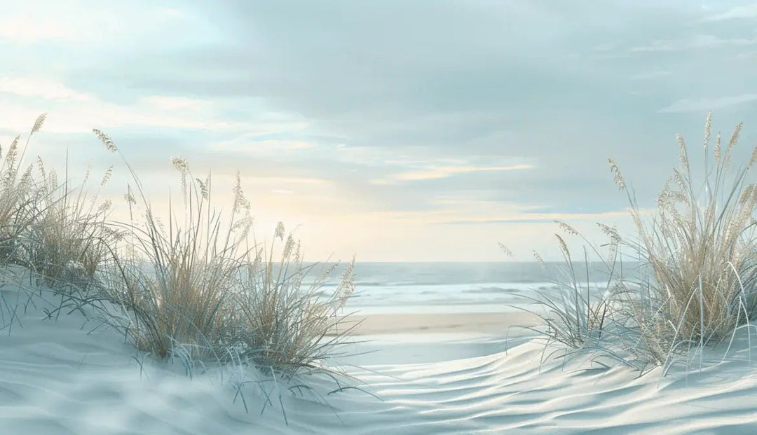 Nature cotière - Dunes en bord de mer - Illulart: Papier peint panoramique