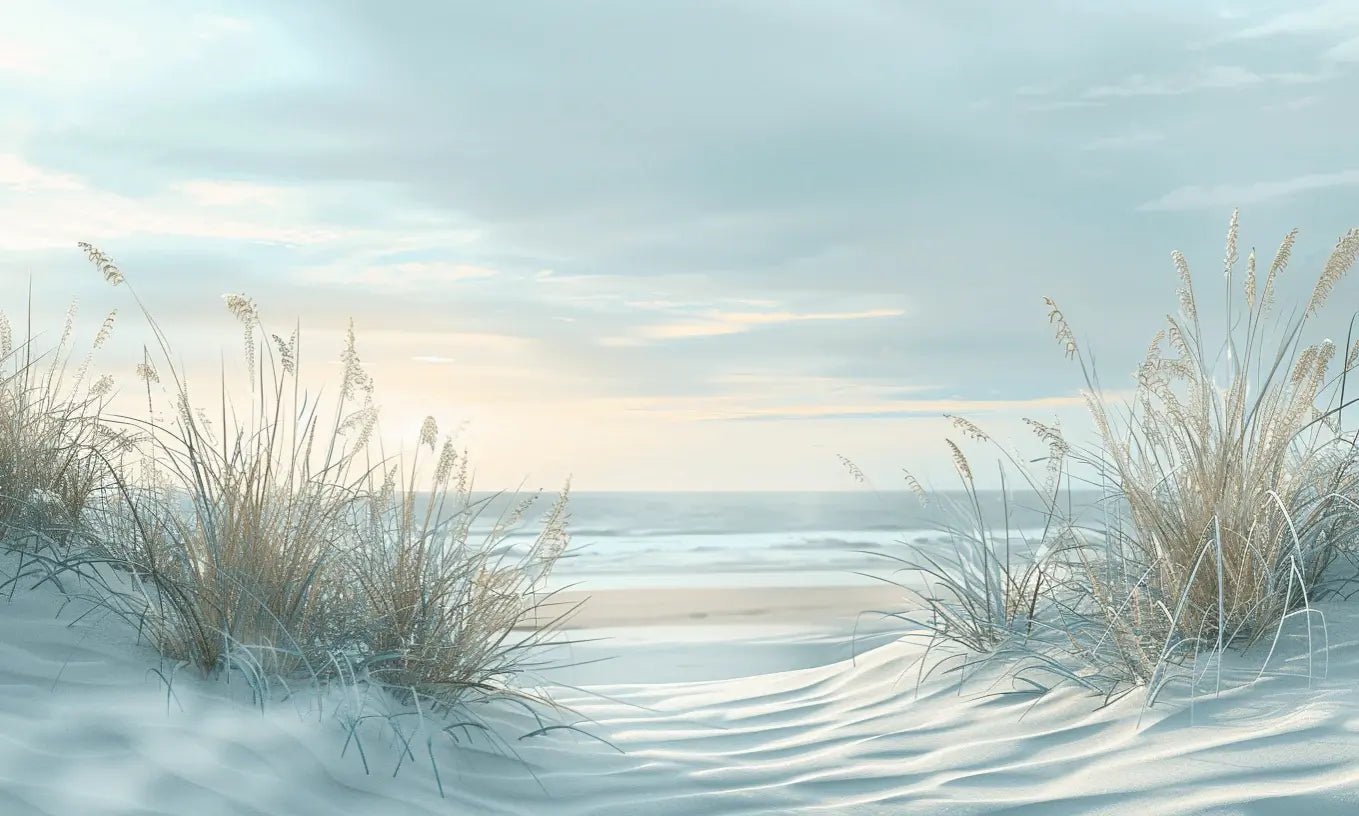Nature cotière - Dunes en bord de mer