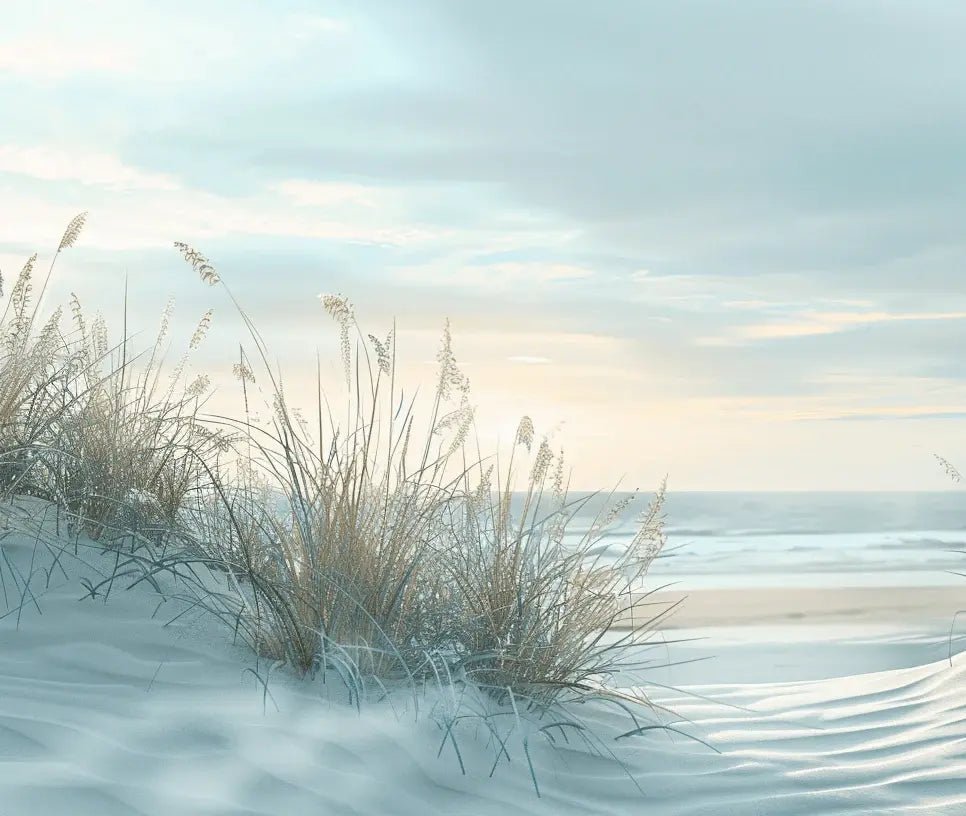 Nature cotière - Dunes en bord de mer - Illulart: Papier peint panoramique