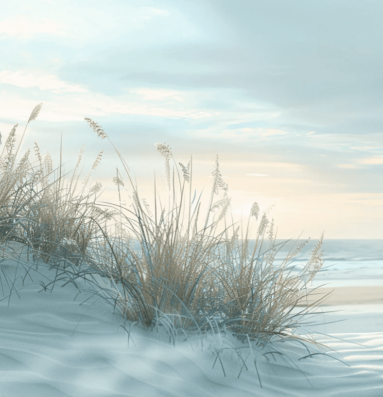 Nature cotière - Dunes en bord de mer - Illulart: Papier peint panoramique