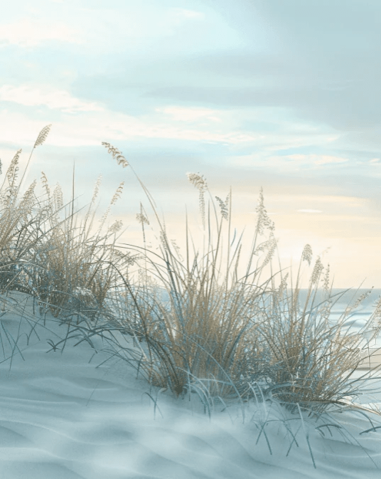 Nature cotière - Dunes en bord de mer - Illulart: Papier peint panoramique