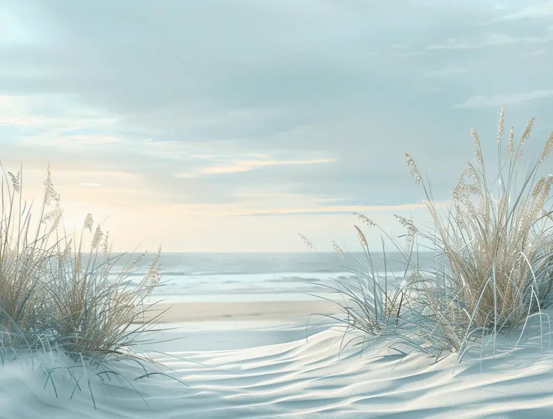 Nature cotière - Dunes en bord de mer - Illulart: Papier peint panoramique