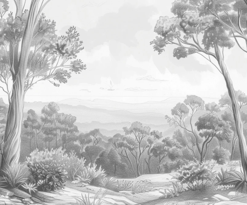 Nature intemporelle - Paysage en noir et blanc - Illulart: Papier peint panoramique