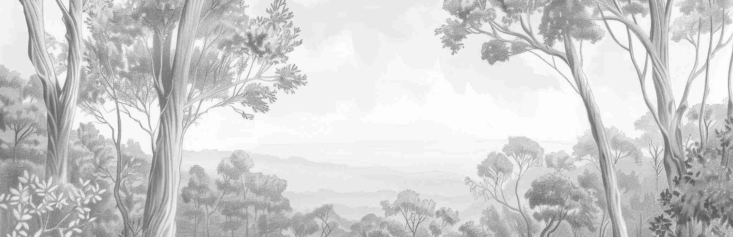 Nature intemporelle - Paysage en noir et blanc - Illulart: Papier peint panoramique