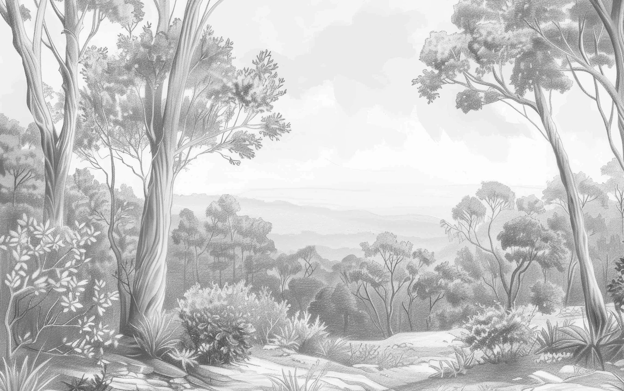 Nature intemporelle - Paysage en noir et blanc
