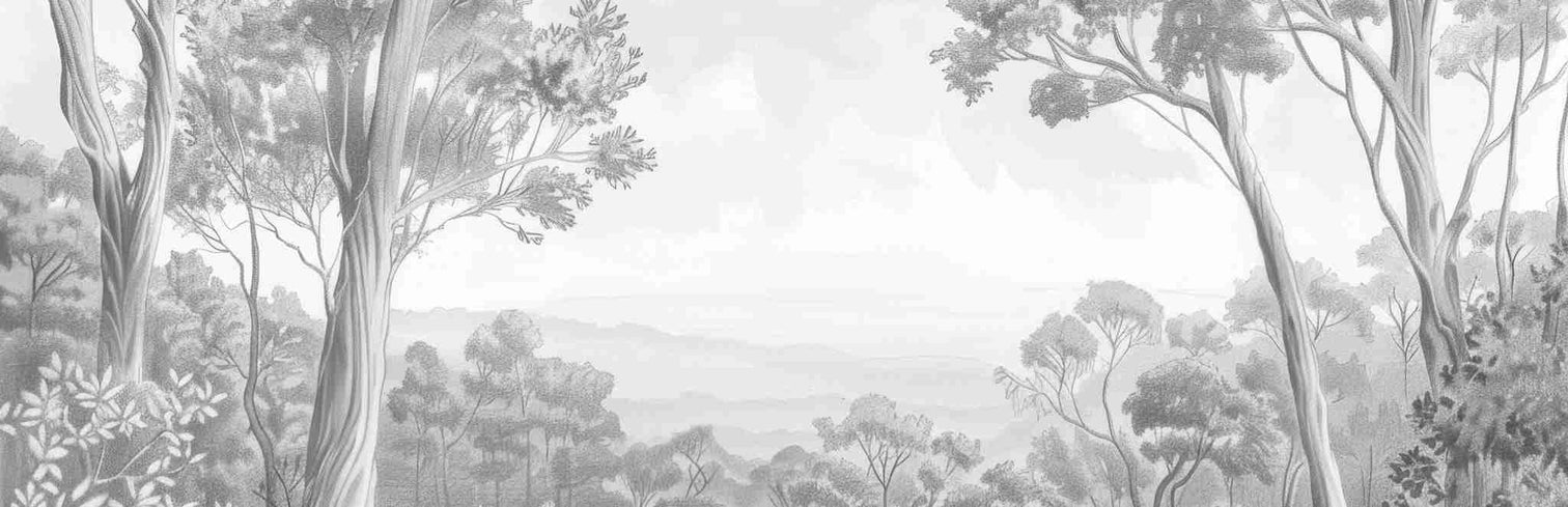 Nature intemporelle - Paysage en noir et blanc - Illulart: Papier peint panoramique
